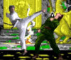 TaeKwonDo Master